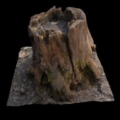 Old Stump 3D Model