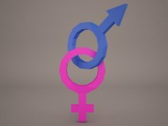 Gender Symbol 3D Model