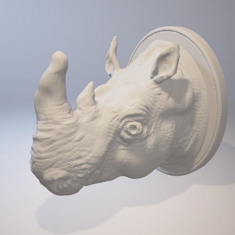 Rhinoceros Hook 3D Print Model