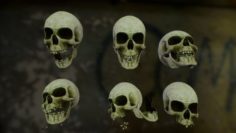 Skull Cranium Game 3D Model