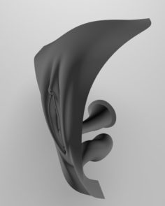 Female Genital Realistic vagina 3D Model