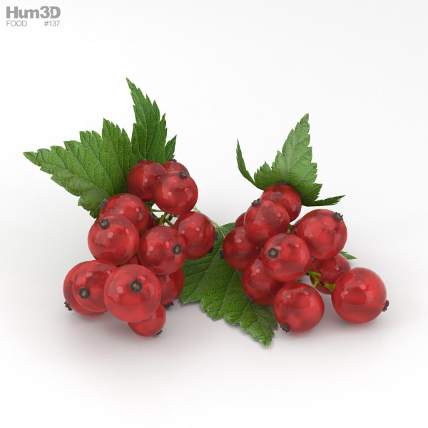 Redcurrant 3D Model