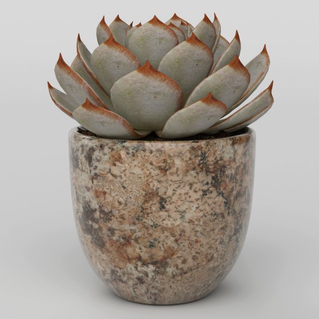 Vray Ready Potted Plant 3D Model