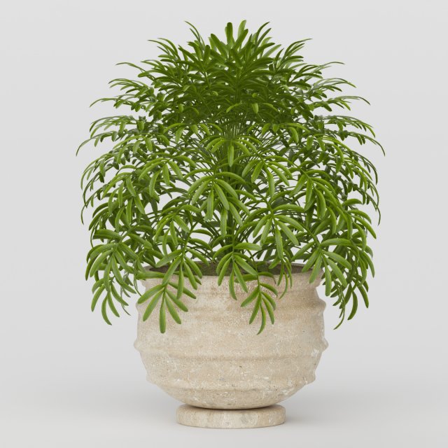 Vray Ready Potted Plant 3D Model