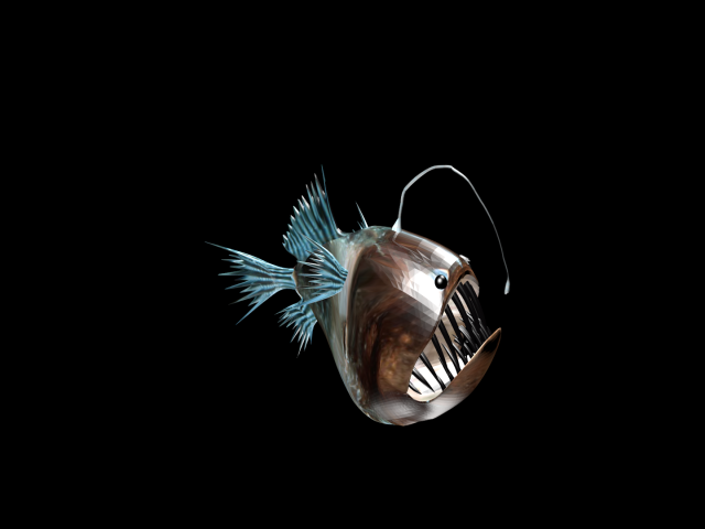 Angler fish 3D Model