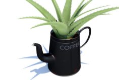 Coffeepot with Aloe Vera plant 3D Model