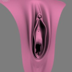 Female Genital Realistic vagina 3D Model