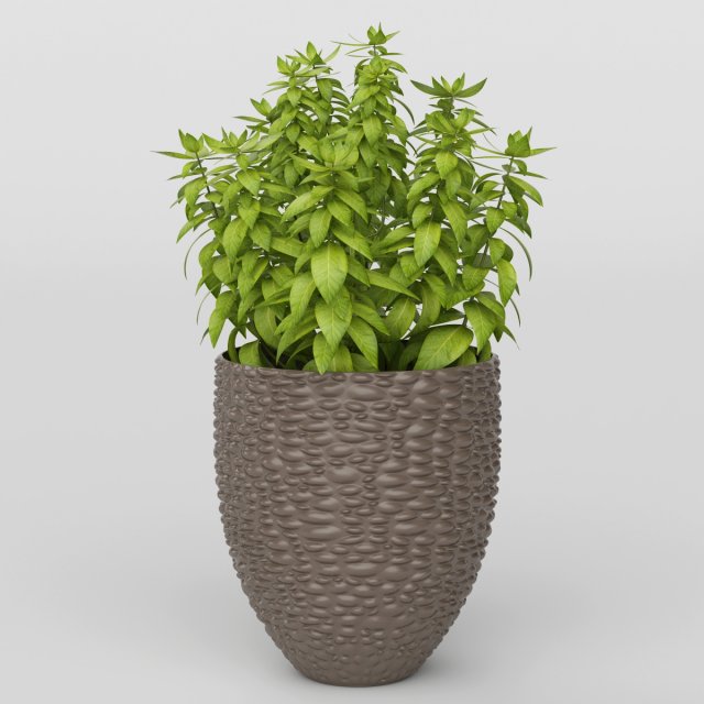 Vray Ready Potted Plant 3D Model