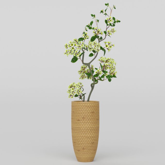 Vray Ready Potted Plant 3D Model