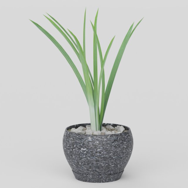 Vray Ready Potted Plant 3D Model