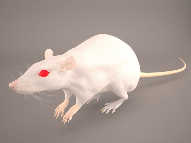 Mouse 1 3D Model