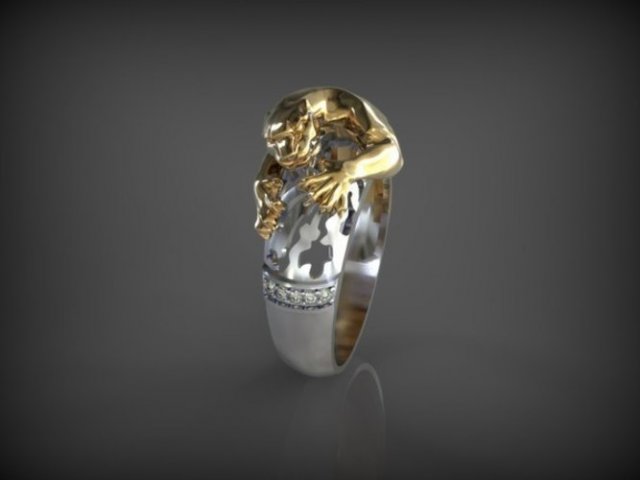 Ring Q 253 3D Model