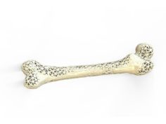 Bones Lattice Structure 3D Print Model