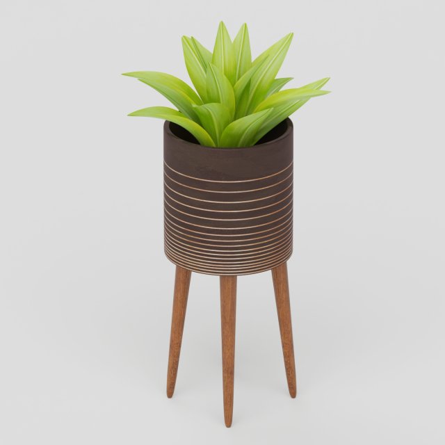 Vray Ready Potted Plant 3D Model