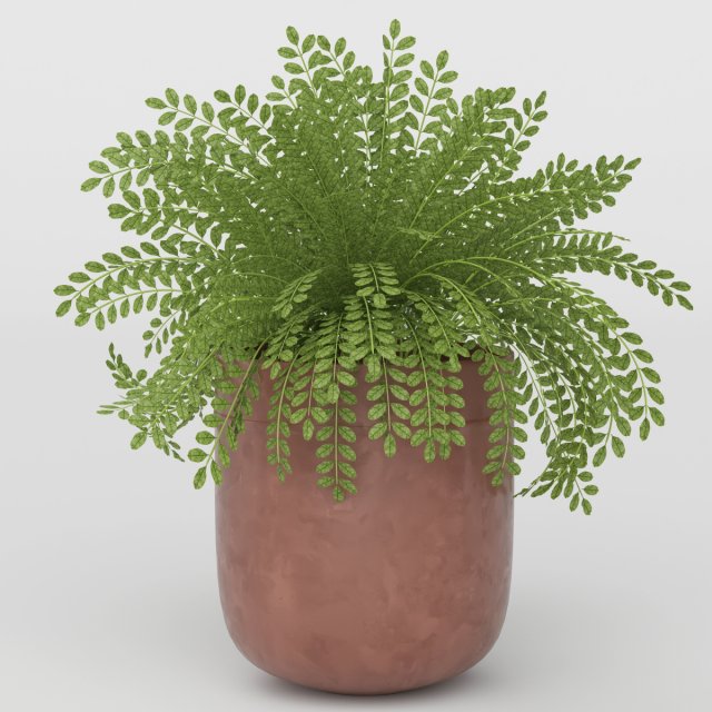 Vray Ready Potted Plant 3D Model