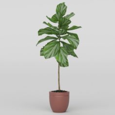 Vray Ready Potted Plant 3D Model