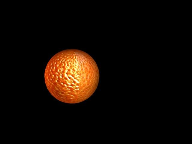 Orange 3D Model