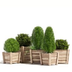 Hardwood planters 3D Model