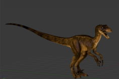 Raptor Rigged and animated 3D Model