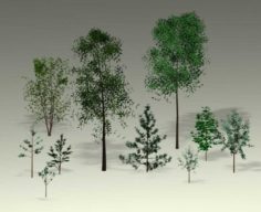 Natural Sight Tree 3D Model