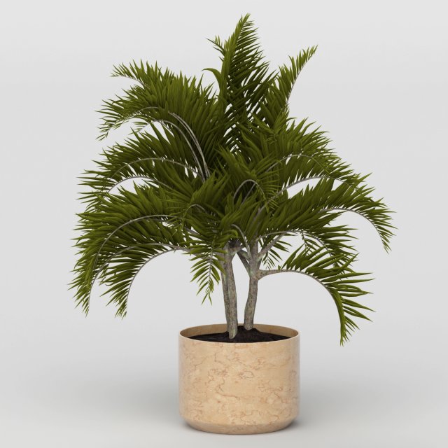 Vray Ready Potted Plant 3D Model