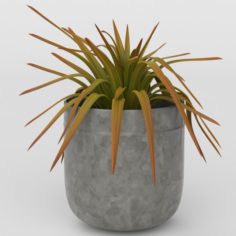 Vray Ready Potted Plant 3D Model
