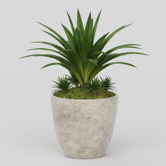 Vray Ready Potted Plant 3D Model