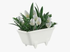 Tulips in mini bath 3D Model
