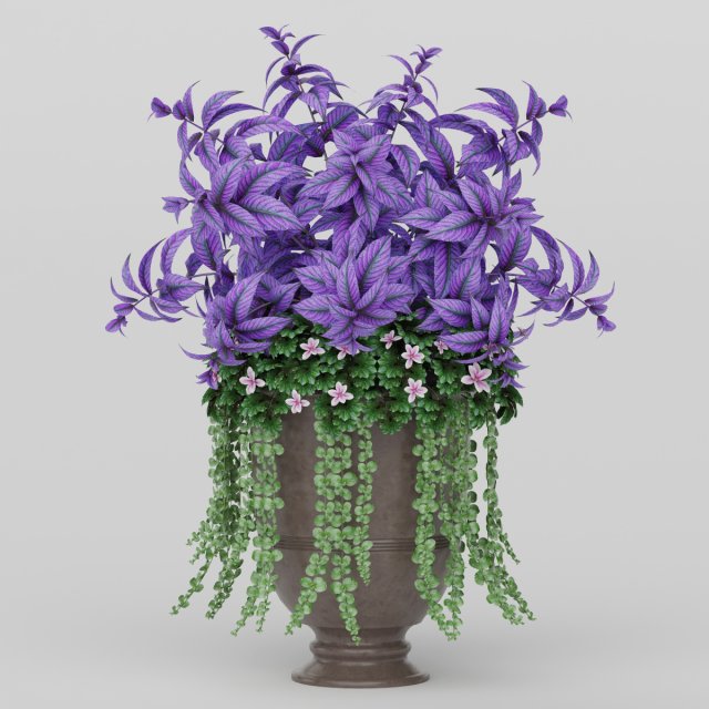 Vray Ready Potted Plant 3D Model