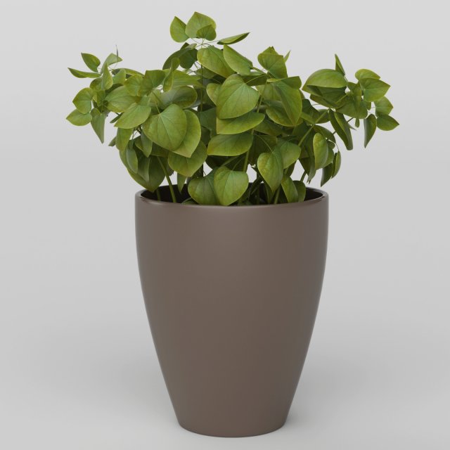 Vray Ready Potted Plant 3D Model