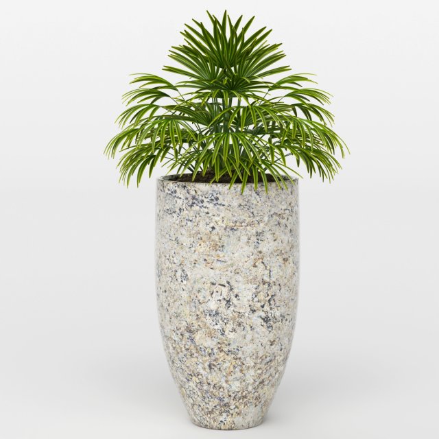 Vray Ready Potted Plant 3D Model