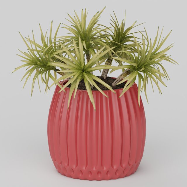 Vray Ready Potted Plant 3D Model