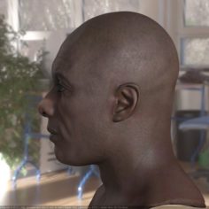 3d model Idris Elba head V2 A 3D Model