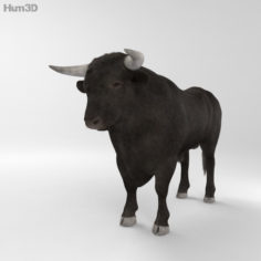 Bull HD 3D Model