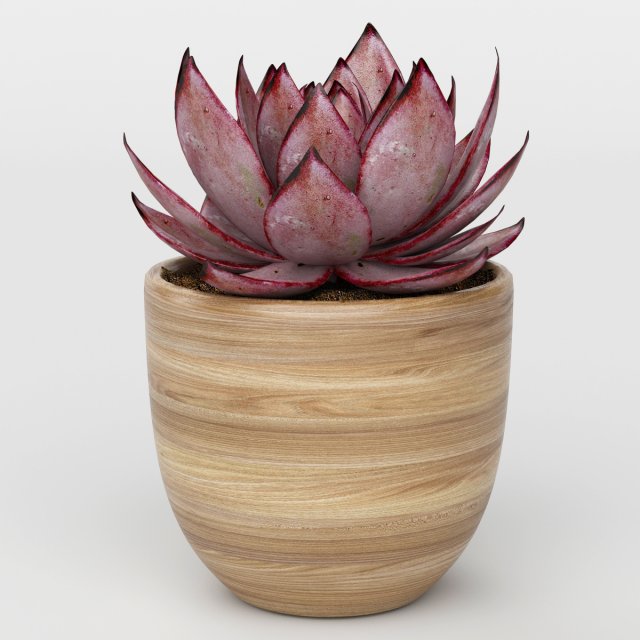 Vray Ready Potted Plant 3D Model