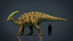 Tsintaosaurus 3D Model