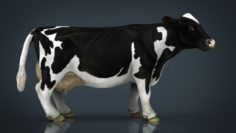 MILK COW 3D Model
