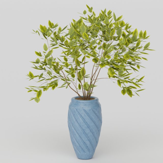 Vray Ready Potted Plant 3D Model