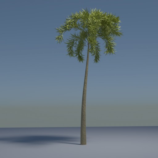 Tropical Palm Tree (Cycles)						 Free 3D Model