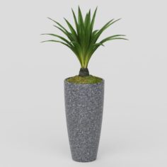Vray Ready Potted Plant 3D Model