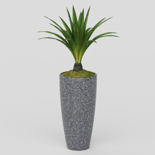 Vray Ready Potted Plant 3D Model