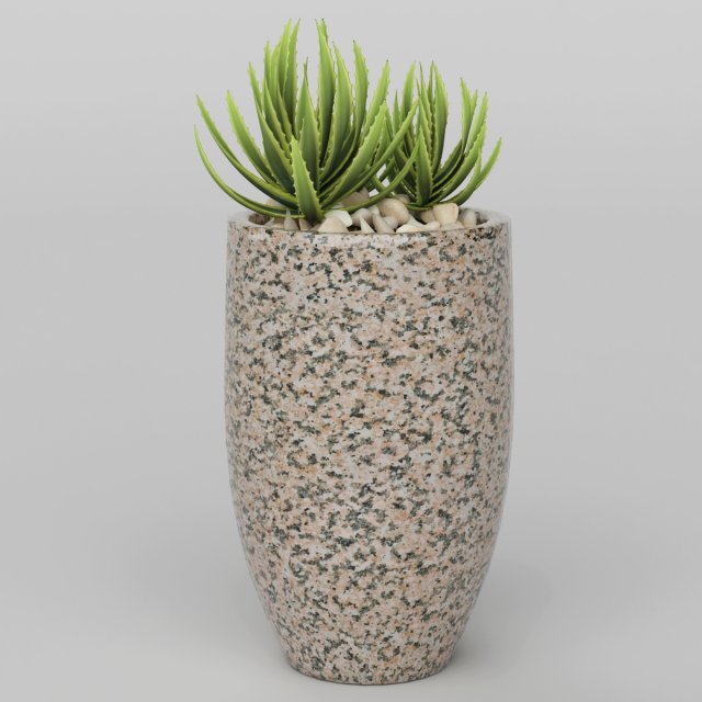 Vray Ready Potted Plant 3D Model