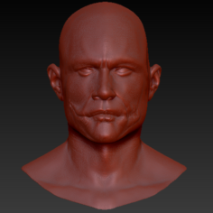 Heath Ledger Joker TDK 3D Print Model