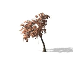 Tree – 0009 3D Model