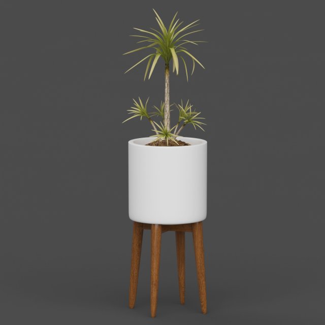 Vray Ready Potted Plant 3D Model