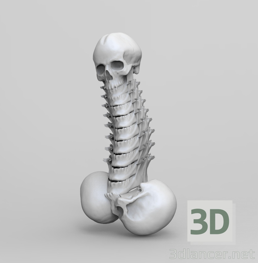 3D-Model
Skulls