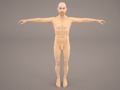 Man Anatomy 3D Model