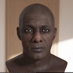 Idris Elba head V2 A 3D Model