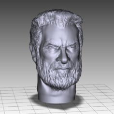 OLD LOGAN INSPIRITED FIGURE HEAD 3D Print Model