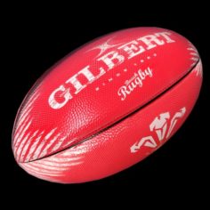 Welsh Rugby Ball 3D Model